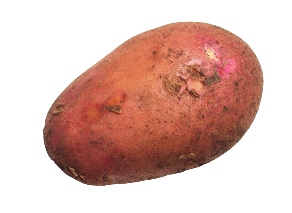 Red Potato Png