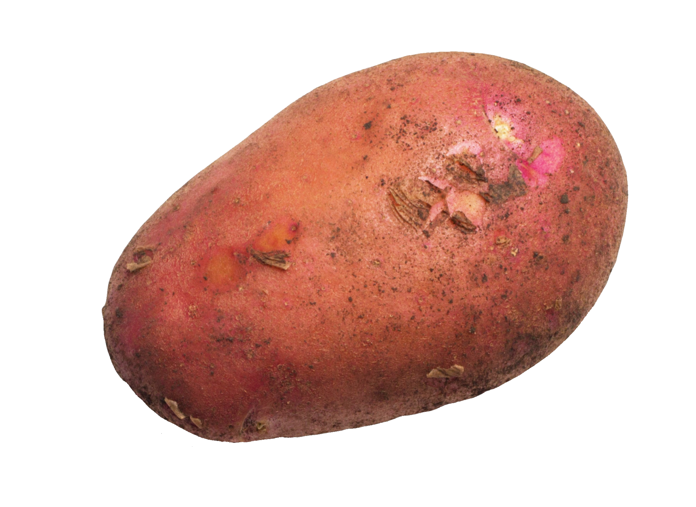 potato-54