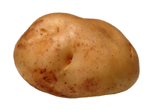 Single Potato Png