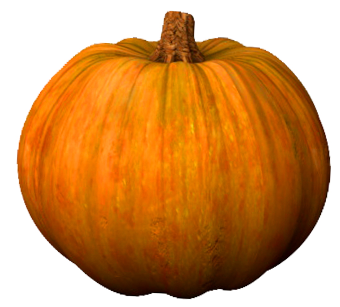 pumpkin-32
