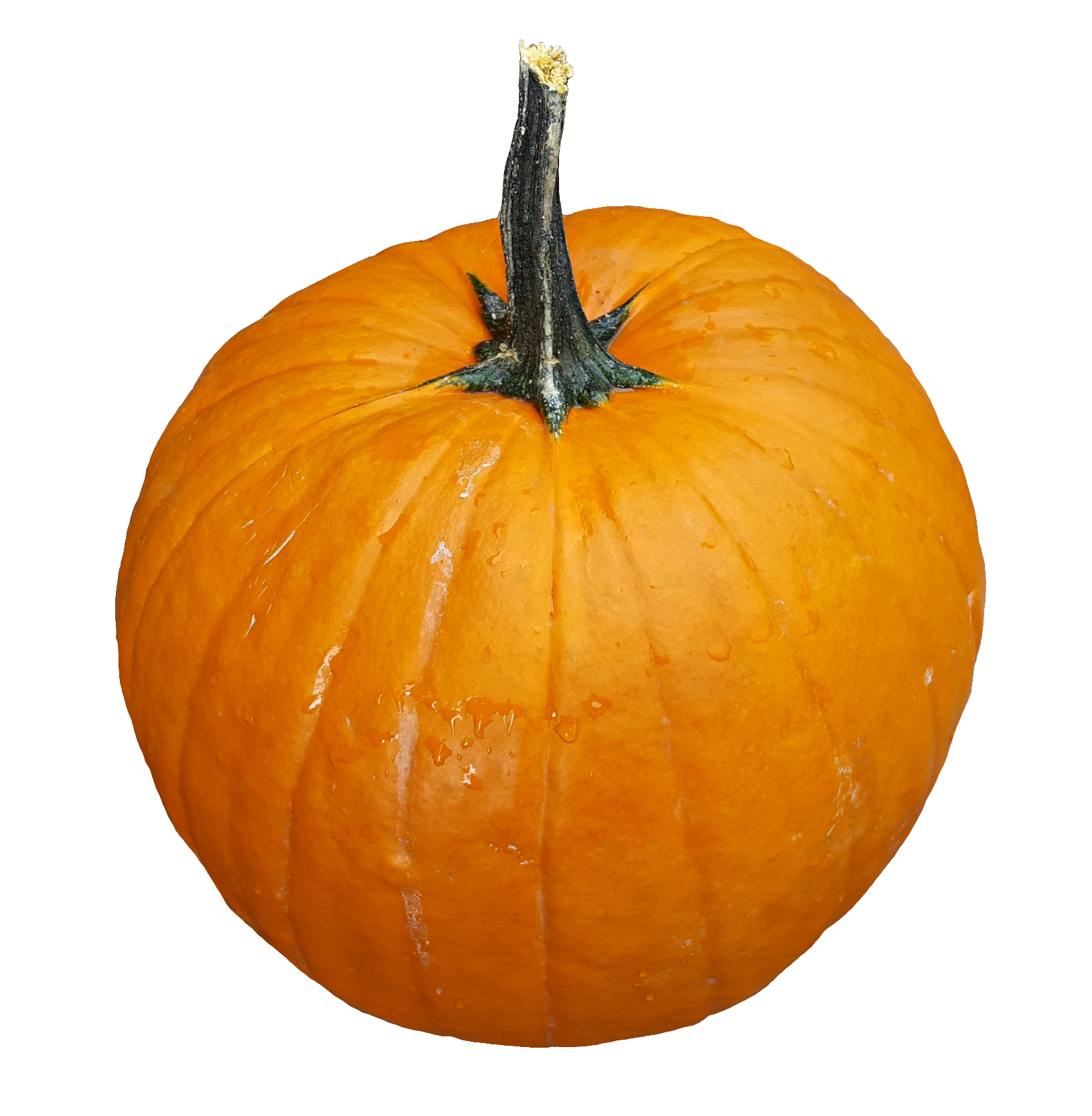 pumpkin-45