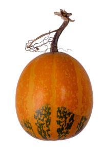 Transparent Pumpkin Png