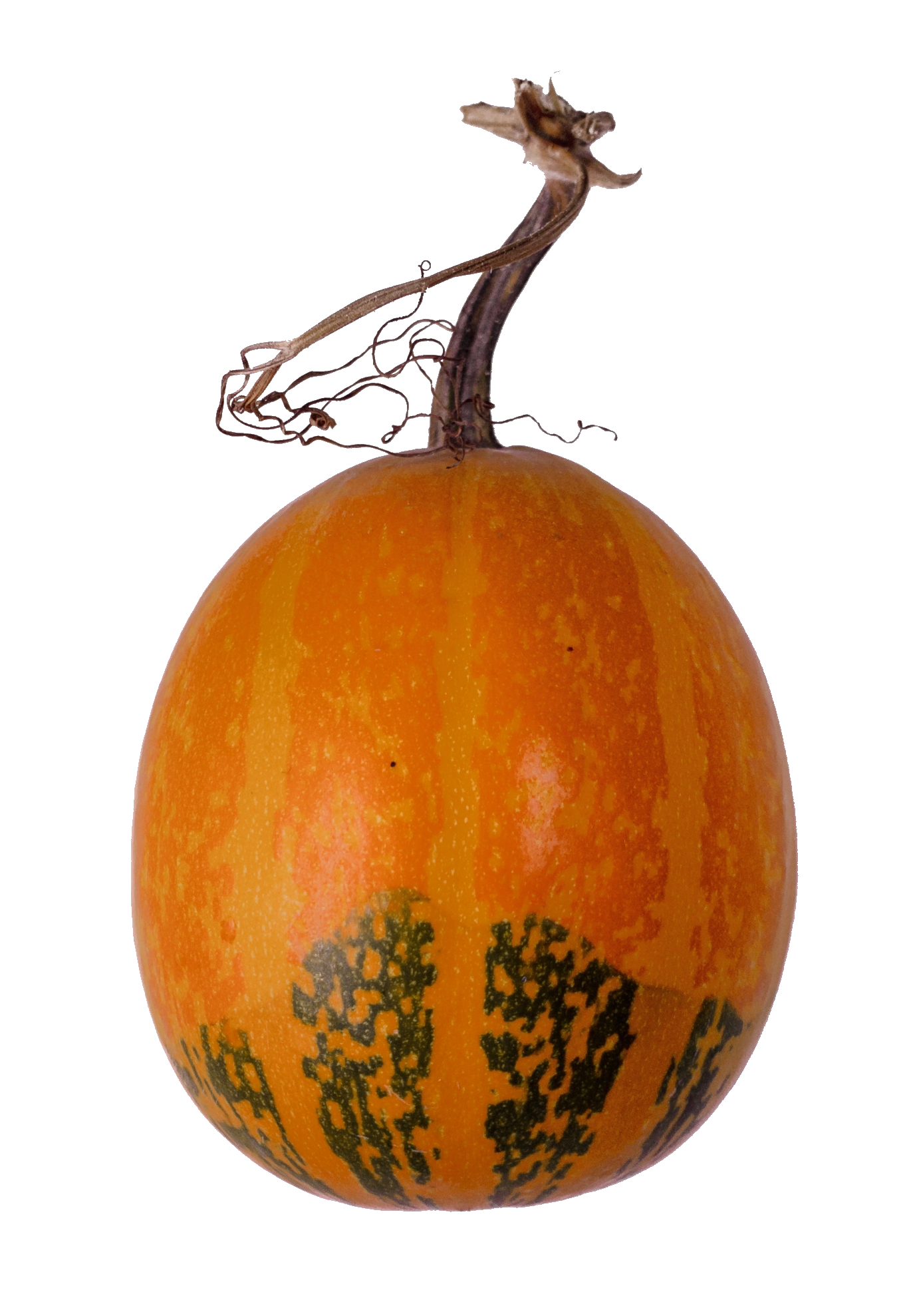 pumpkin-61