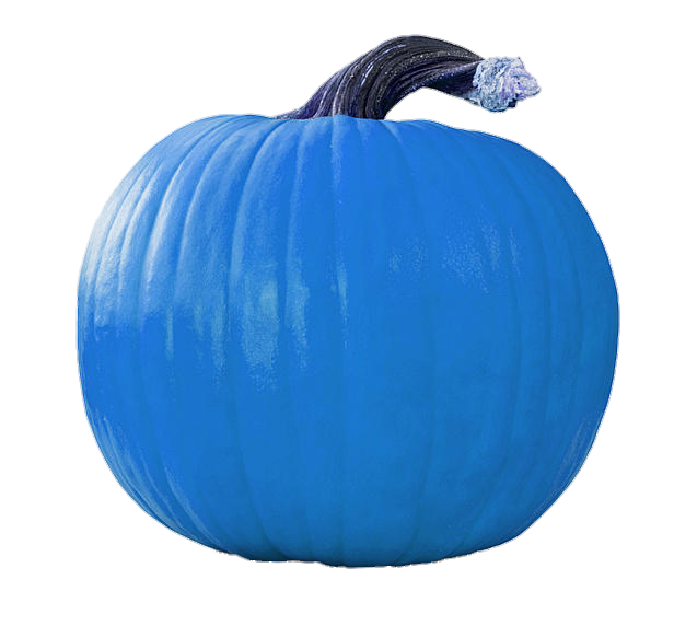 pumpkin-65