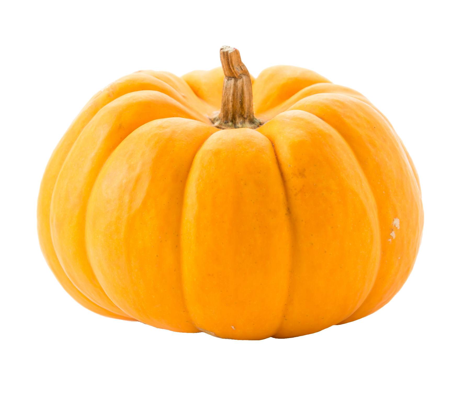 pumpkin-66