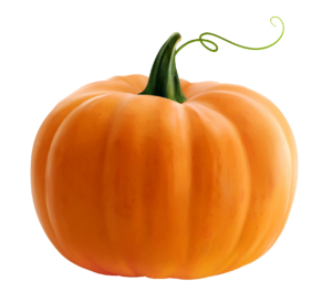 Pumpkin Png Image