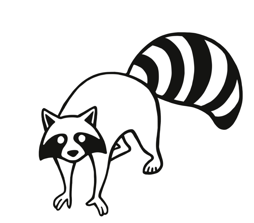 Raccoon Vector Icon PNG