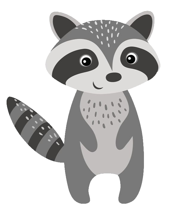 Cute Raccoon Vector PNG