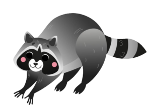 raccoon-20