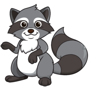 raccoon-25
