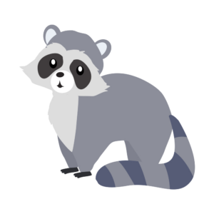 raccoon-3