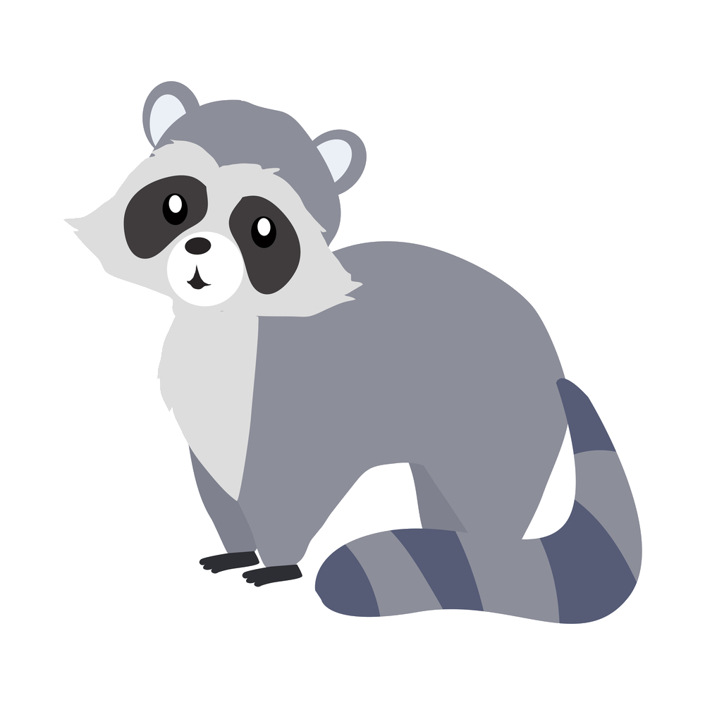 Raccoon Vector PNG