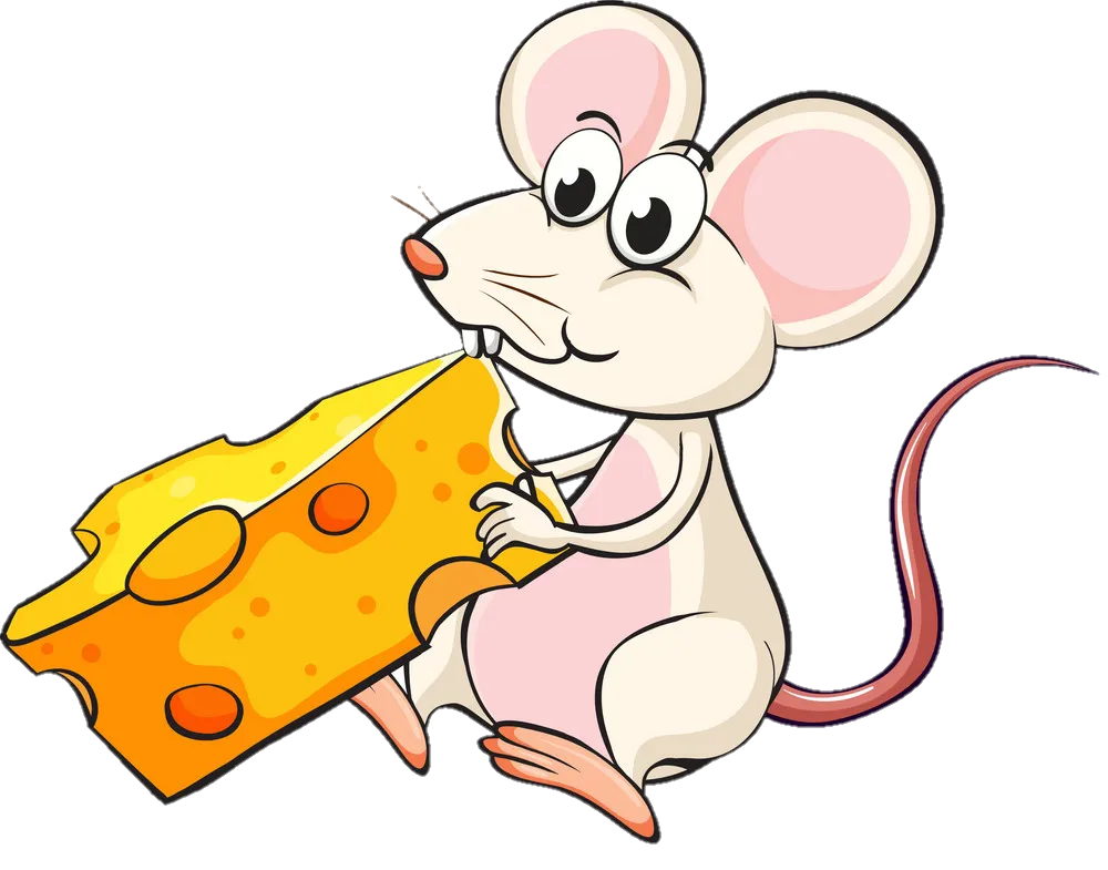 White Rat Png Eating Cheese 