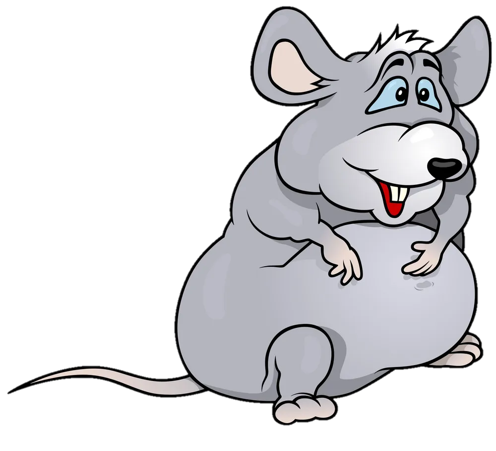 Fat Rat Png Image