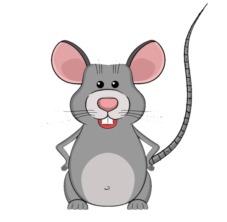 Rat PNG Transparent Images Free Download - Pngfre