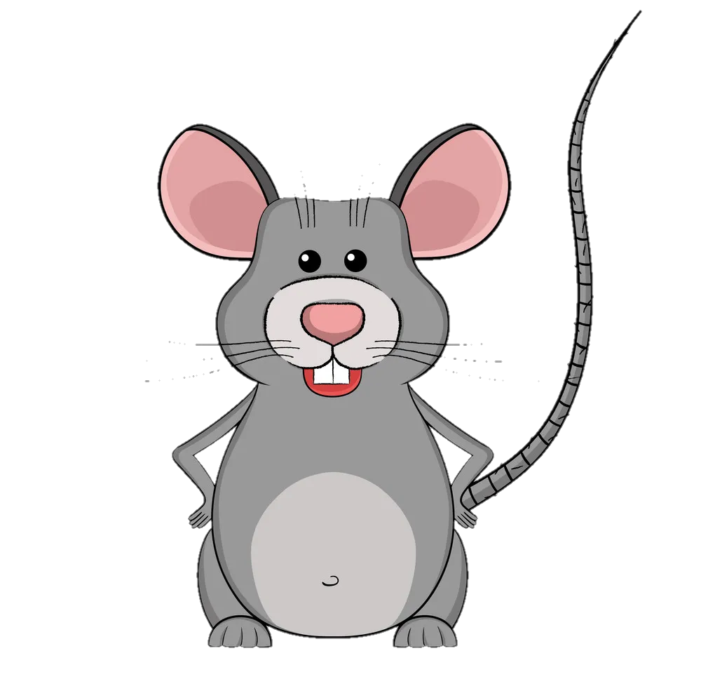 rat-png-image-from-pngfre-24