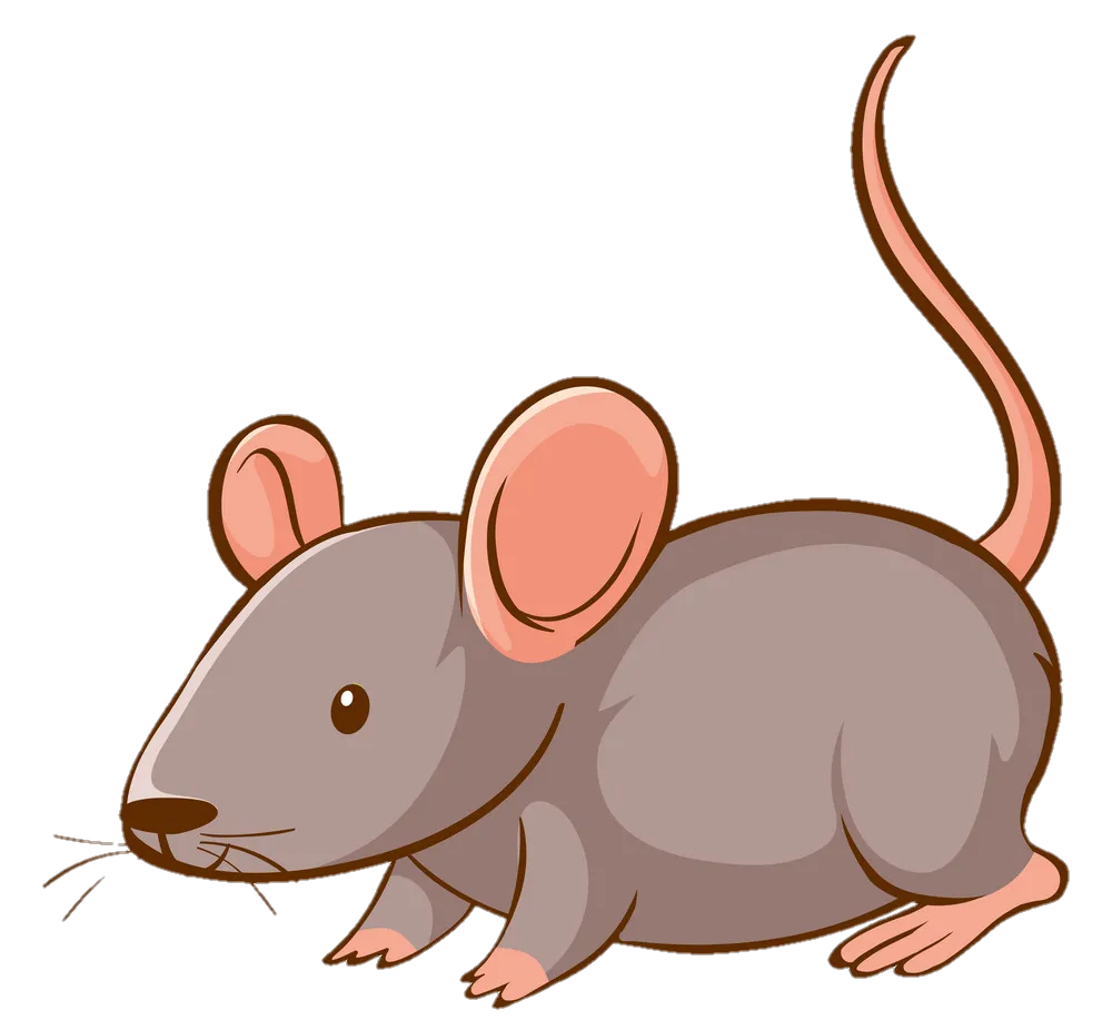 Rat PNG