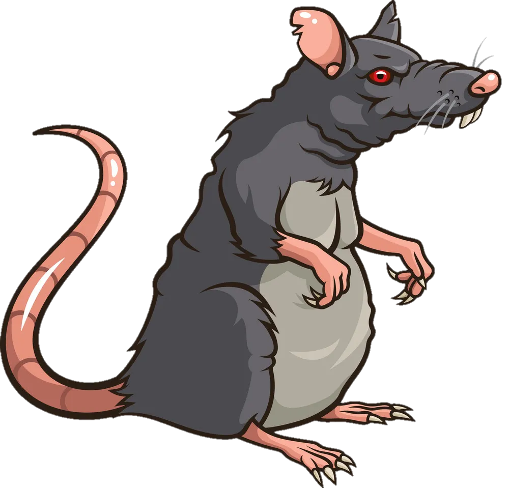 rat-png-image-from-pngfre-27