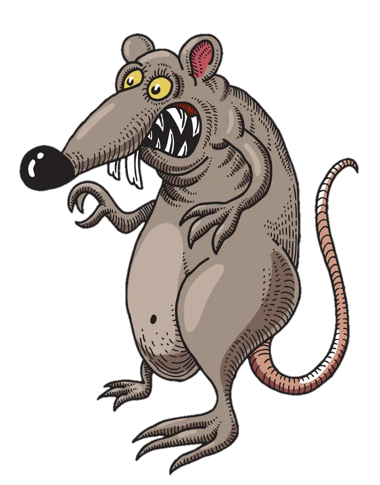 rat-png-image-from-pngfre-29