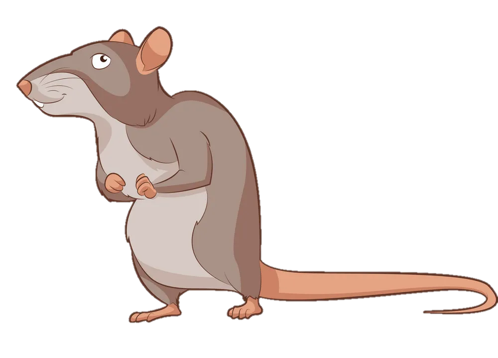 rat-png-image-from-pngfre-32