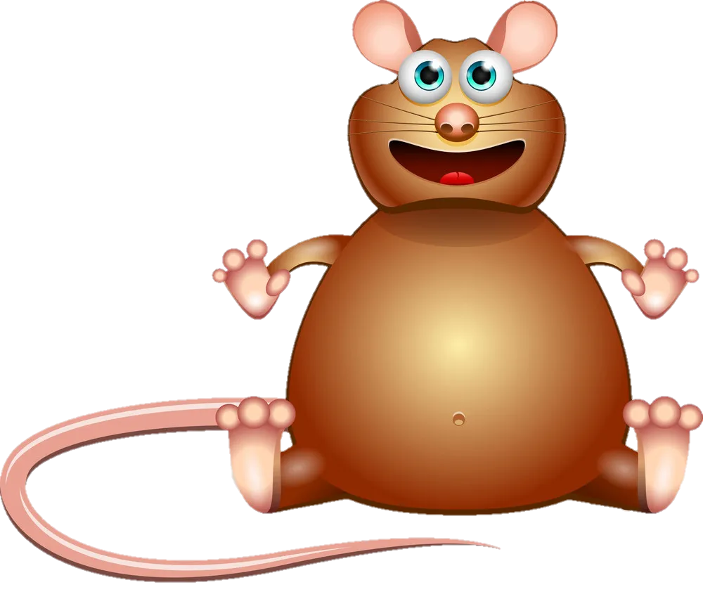 rat-png-image-from-pngfre-39