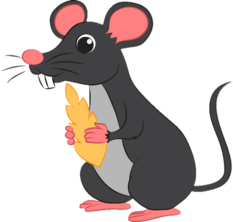 rat-png-image-from-pngfre-41