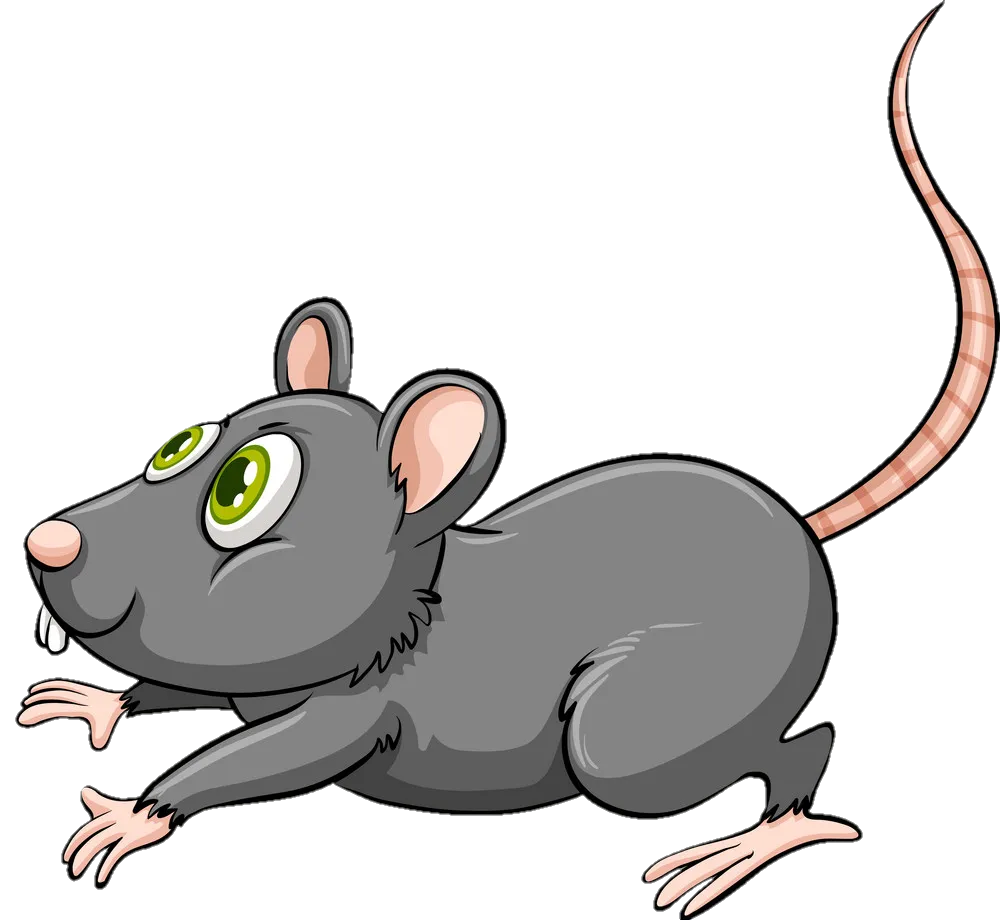 rat-png-image-from-pngfre-42