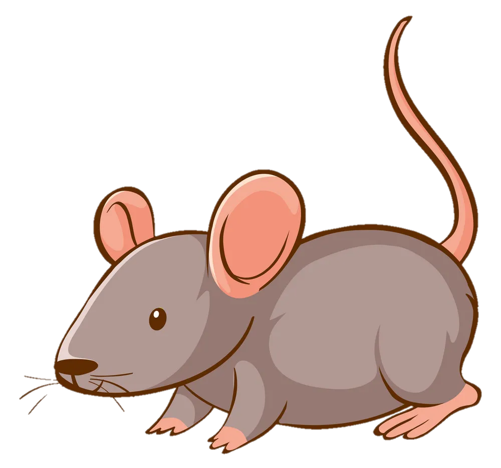 rat-png-image-from-pngfre-43