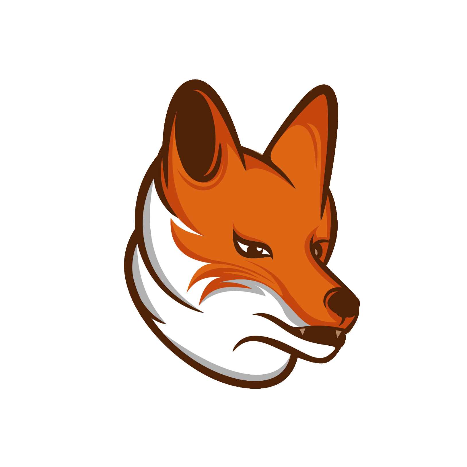 red-fox-11