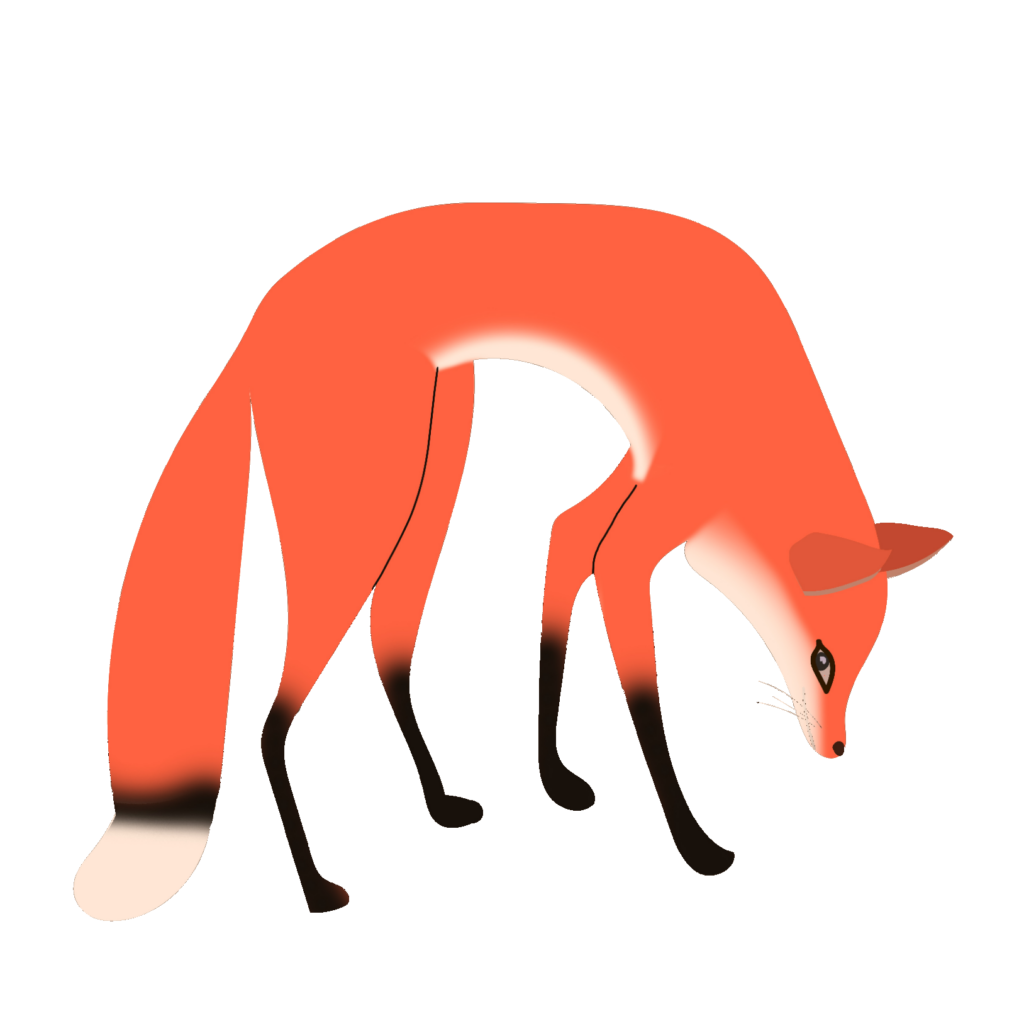 Red Fox Vector Png