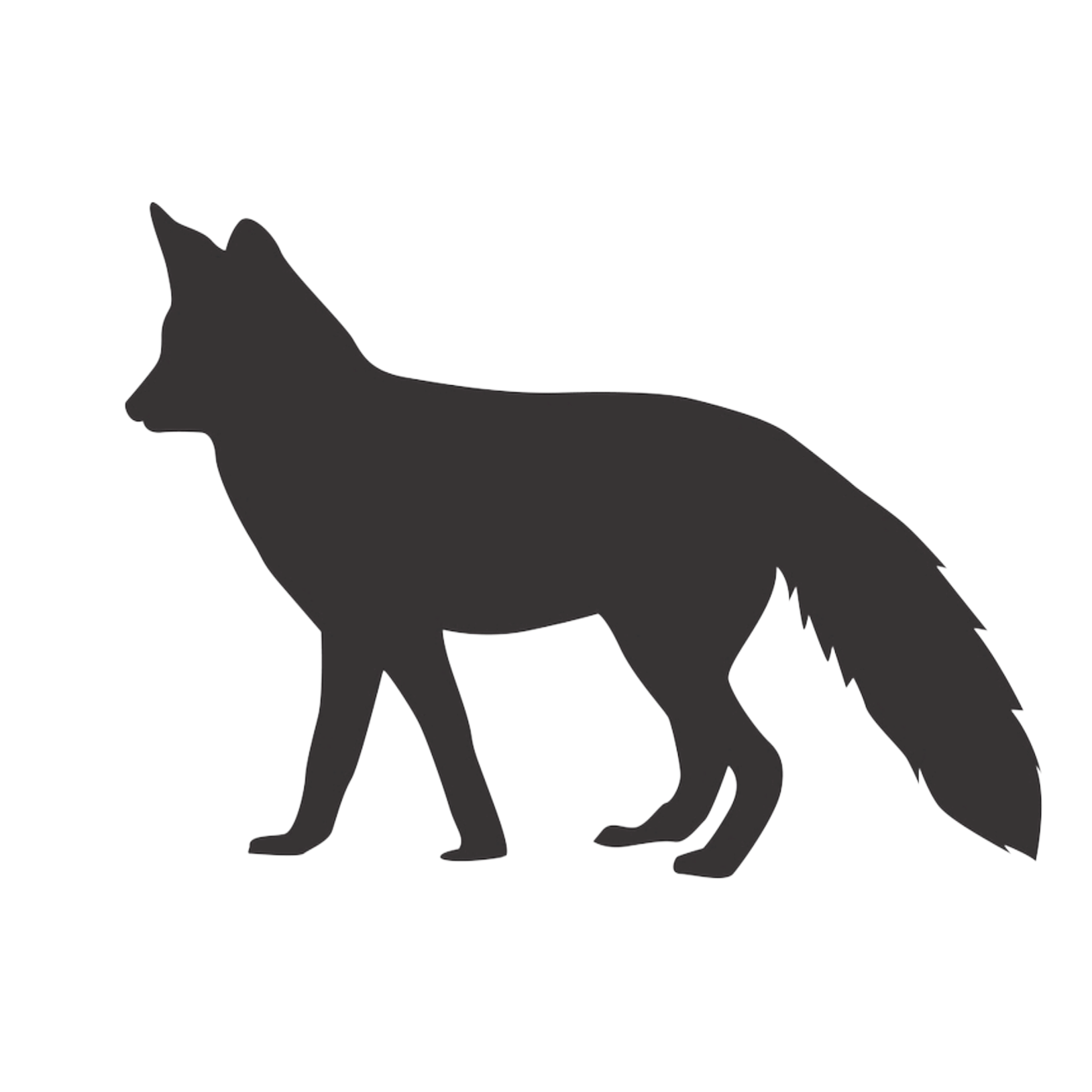 red-fox-41