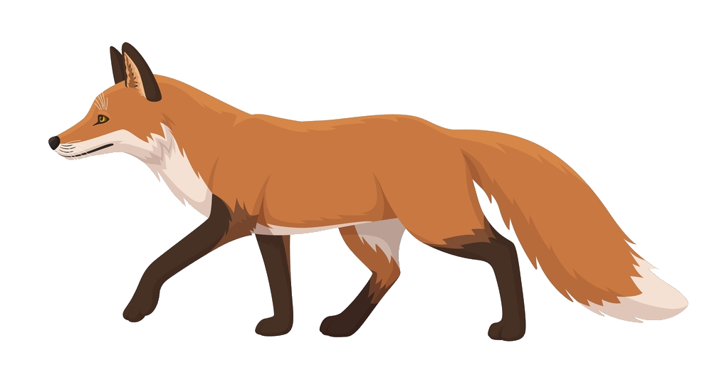 red-fox-9