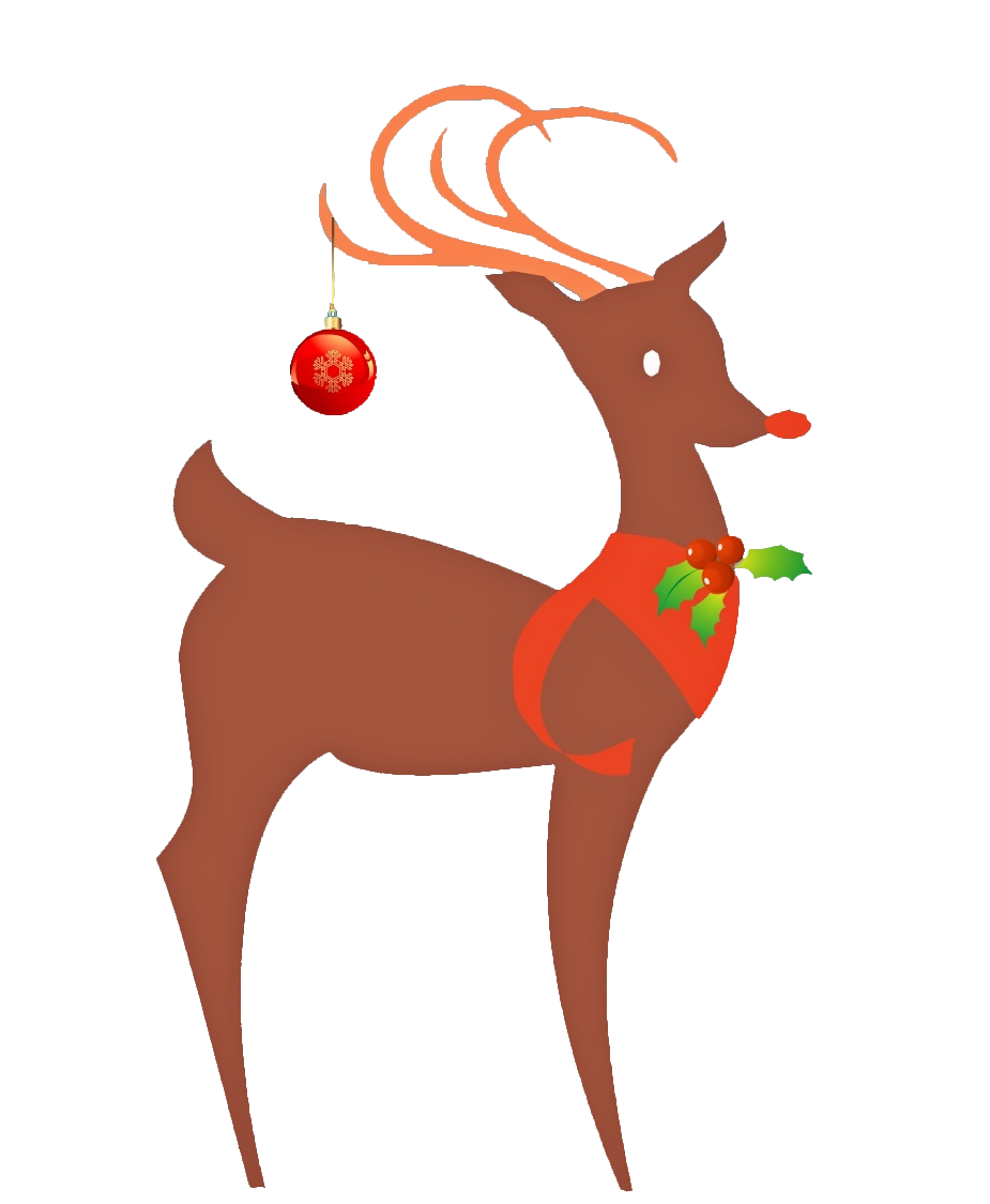 reindeer-19