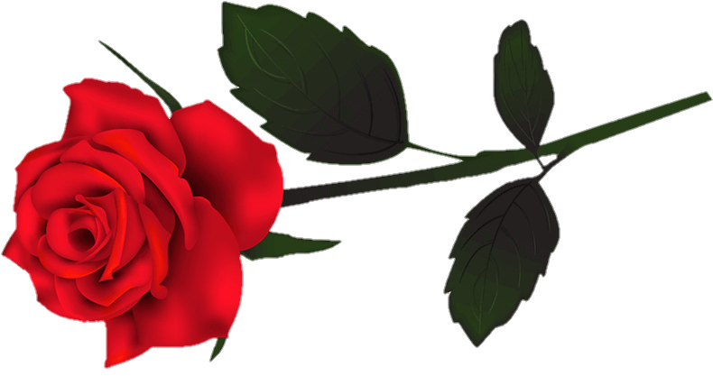 Rose Flower Png clipart