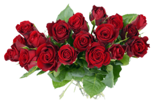 Free Rose Flowers Png