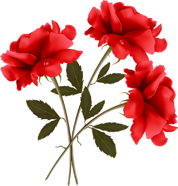 Rose Flowers Png clipart
