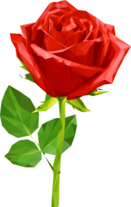 Rose Flower Png Vector