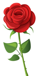 Rose Flower Png clipart