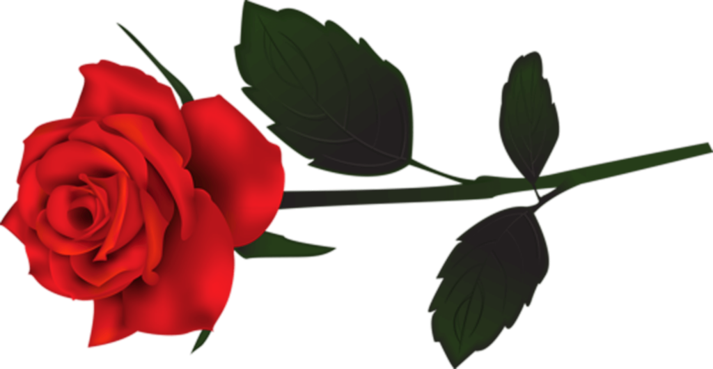 Red Rose Flower Png clipart