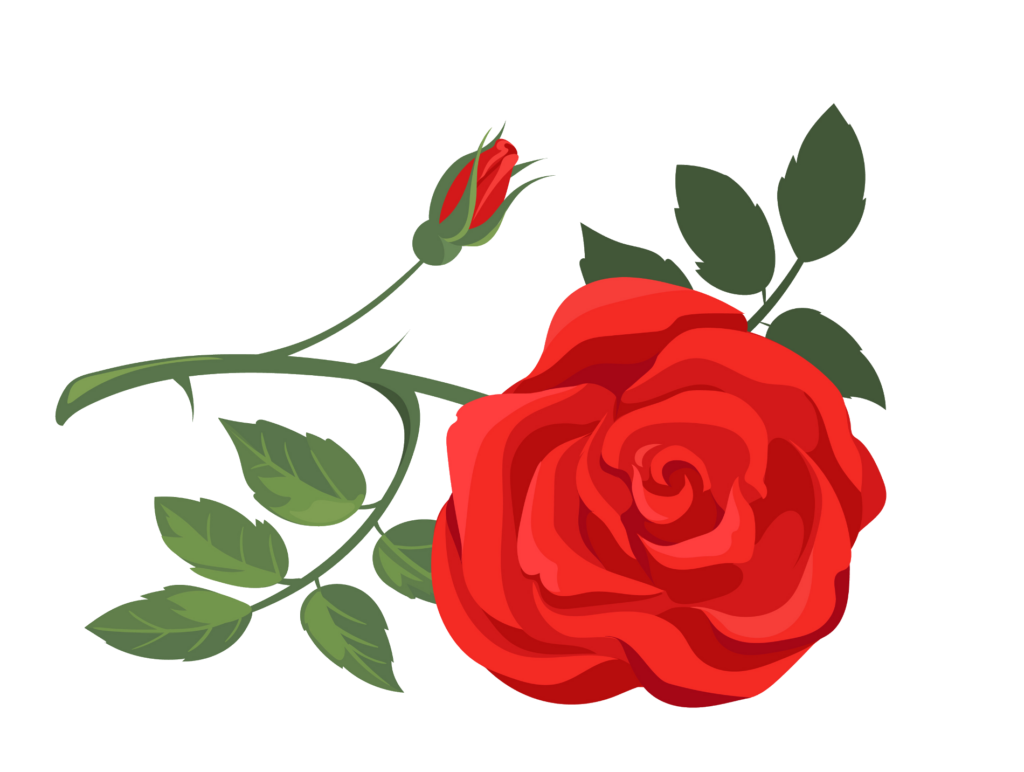 Rose Clipart Png