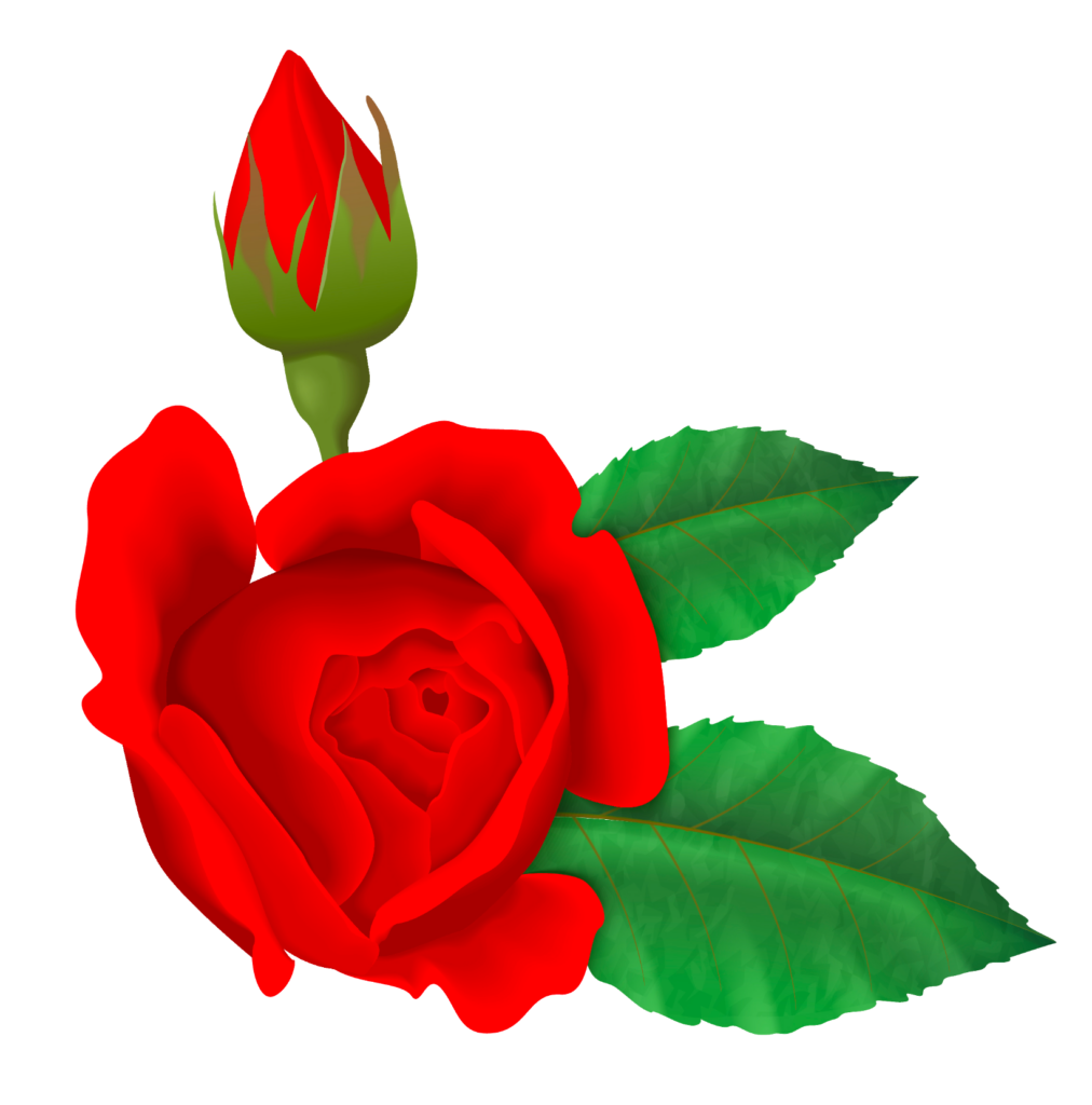 Rose Flower clipart Png