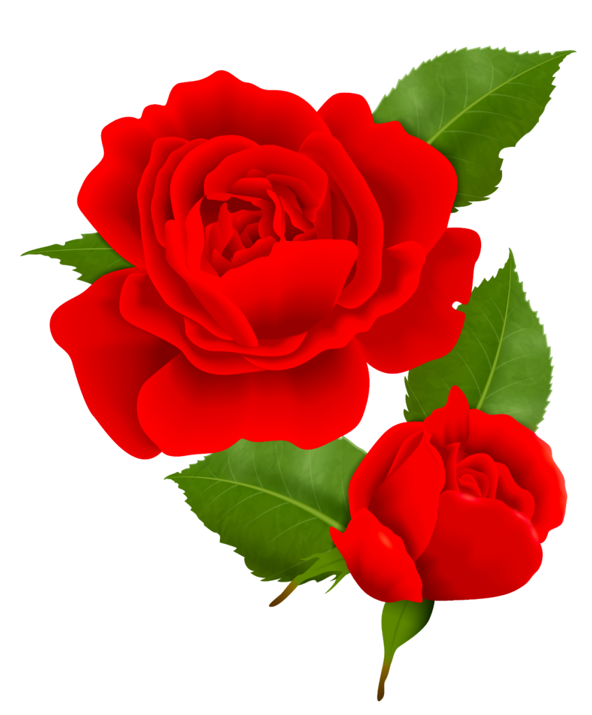 Rose Flower Png