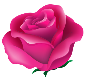 Pink Rose Flower Clipart Png