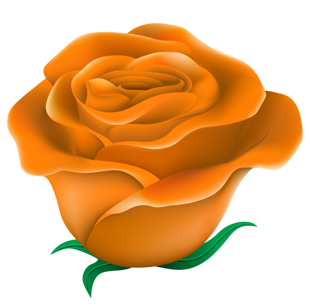 Orange Rose Flower Clipart Png