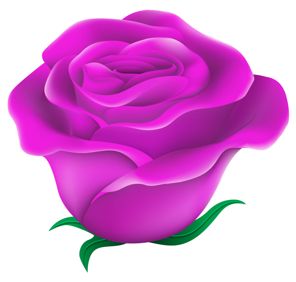 Purple Rose Flower Clipart Png