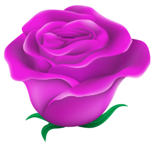 Purple Rose Flower Clipart Png