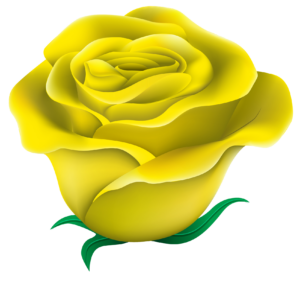 Yellow Rose Flower Clipart Png