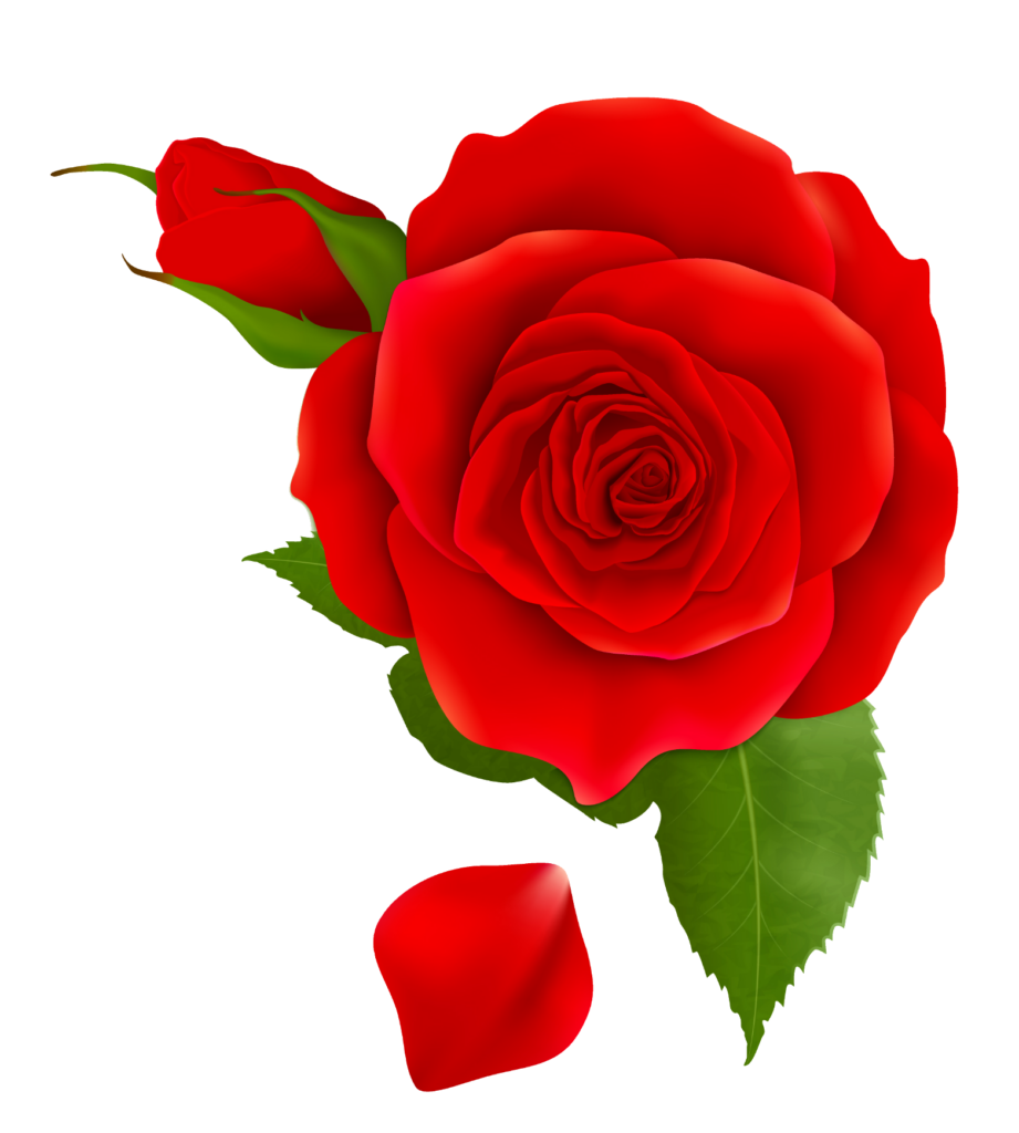 Red Rose Flower Clipart Png