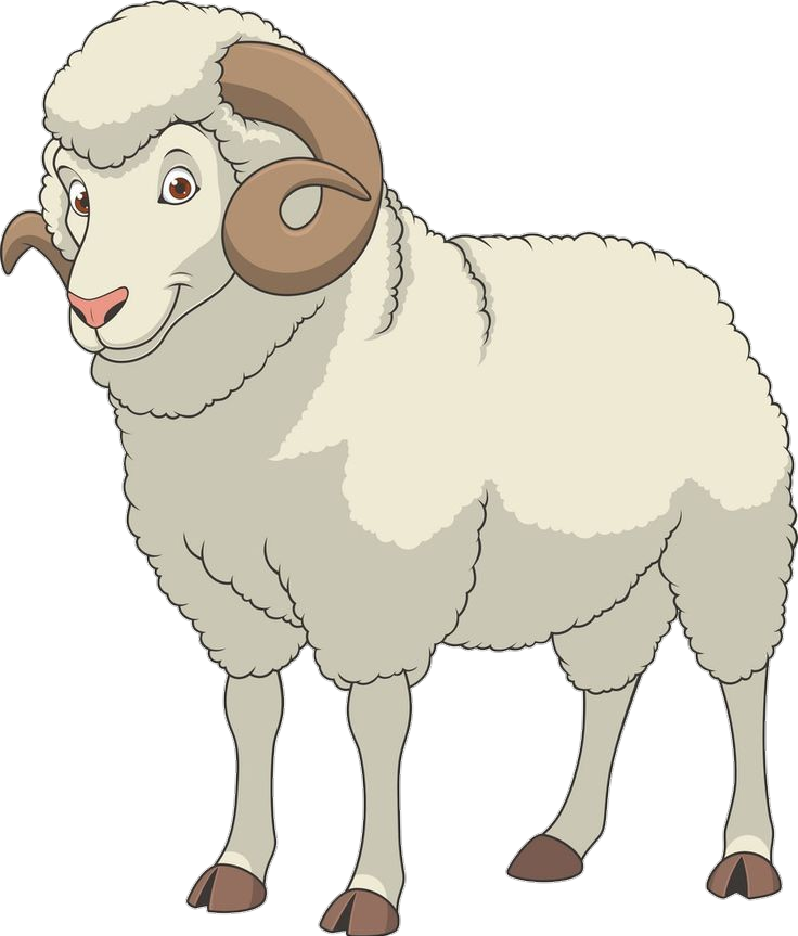 Merino Sheep Clipart Png