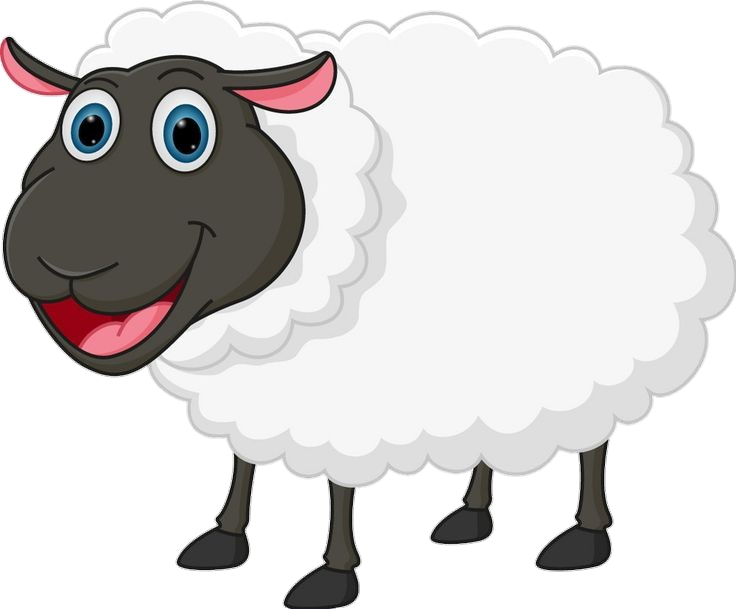 sheep-17